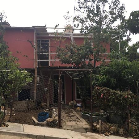 La Casa Del Nenufar 호텔 오아하카주 외부 사진