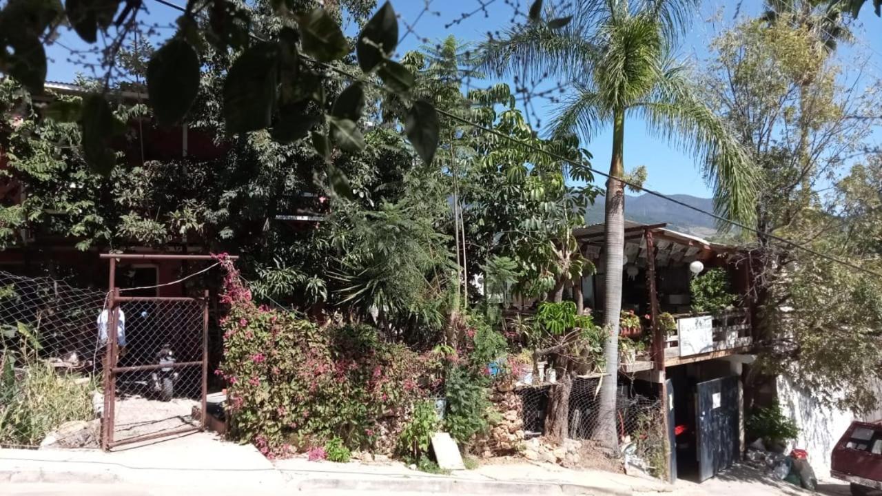 La Casa Del Nenufar 호텔 오아하카주 외부 사진