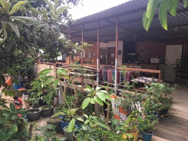 La Casa Del Nenufar 호텔 오아하카주 외부 사진